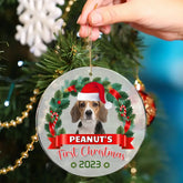 Photo personnalisée Pawsitively Excited For The First Christmas - Ornement personnalisé personnalisé pour chien et chat
